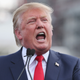 Donald Trump
Chip Somodevilla/Getty Images